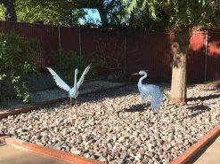 Regal Art & Gift Home Decor (11779) -Yard Decorations Store 148150md