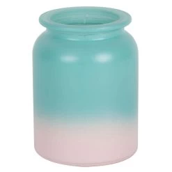 Vickerman Container (2 Pack) (581957)